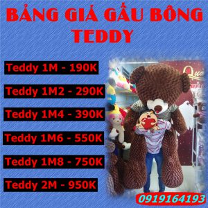 gau bong teddy can tho