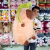 Gấu Bông Capybara Balo Rùa